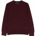 Polo Ralph Lauren Kids Maglione