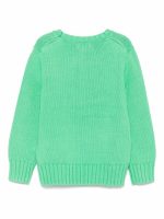 Polo Ralph Lauren Kids Maglione